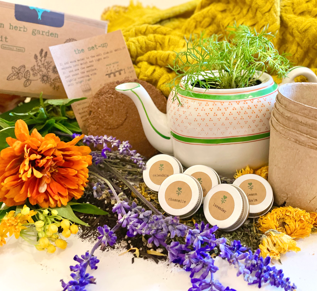 Herbal Tea Garden Growing Kit (Get Growing)
