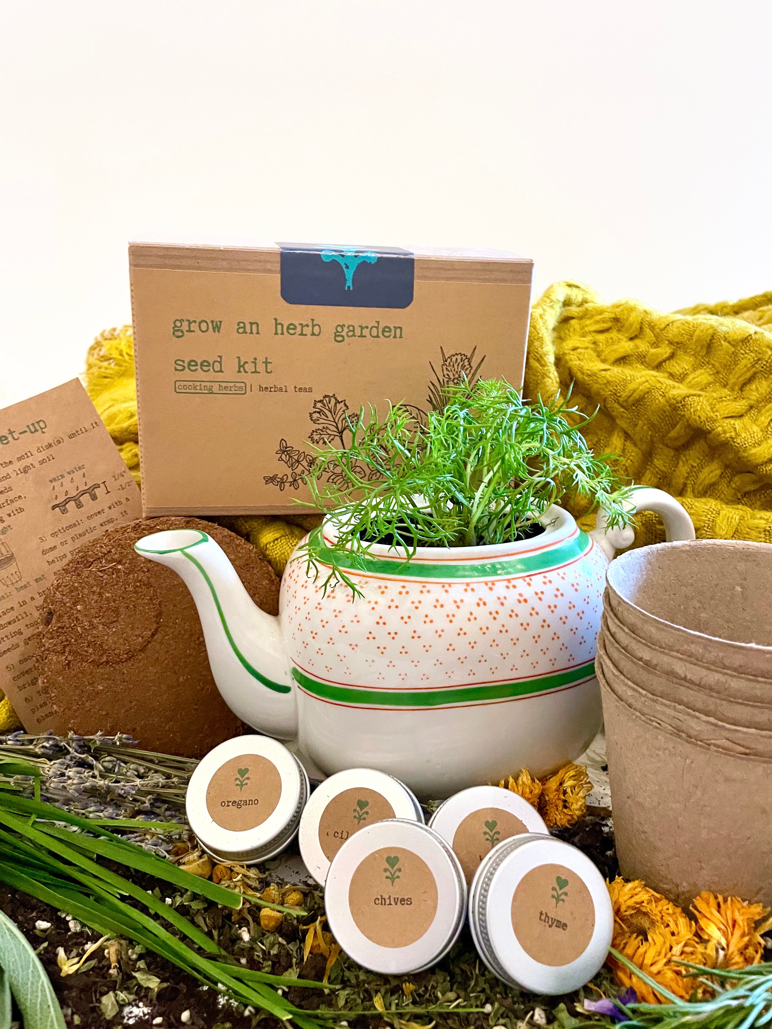 Cooking Herbs Growing Kit w. Planters, Soil Pod & Organic Non-GMO