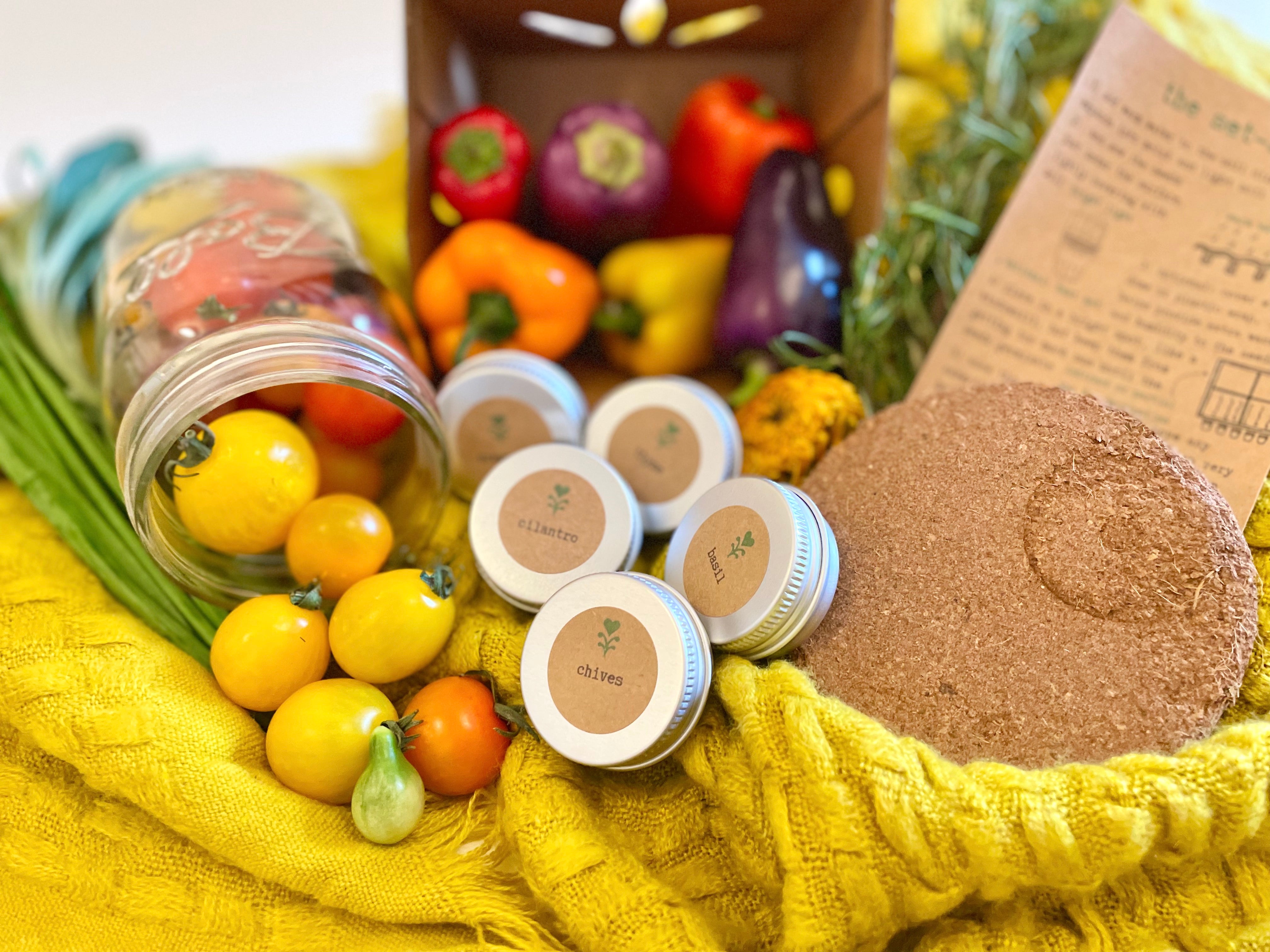 Cooking Herbs Growing Kit w. Planters, Soil Pod & Organic Non-GMO