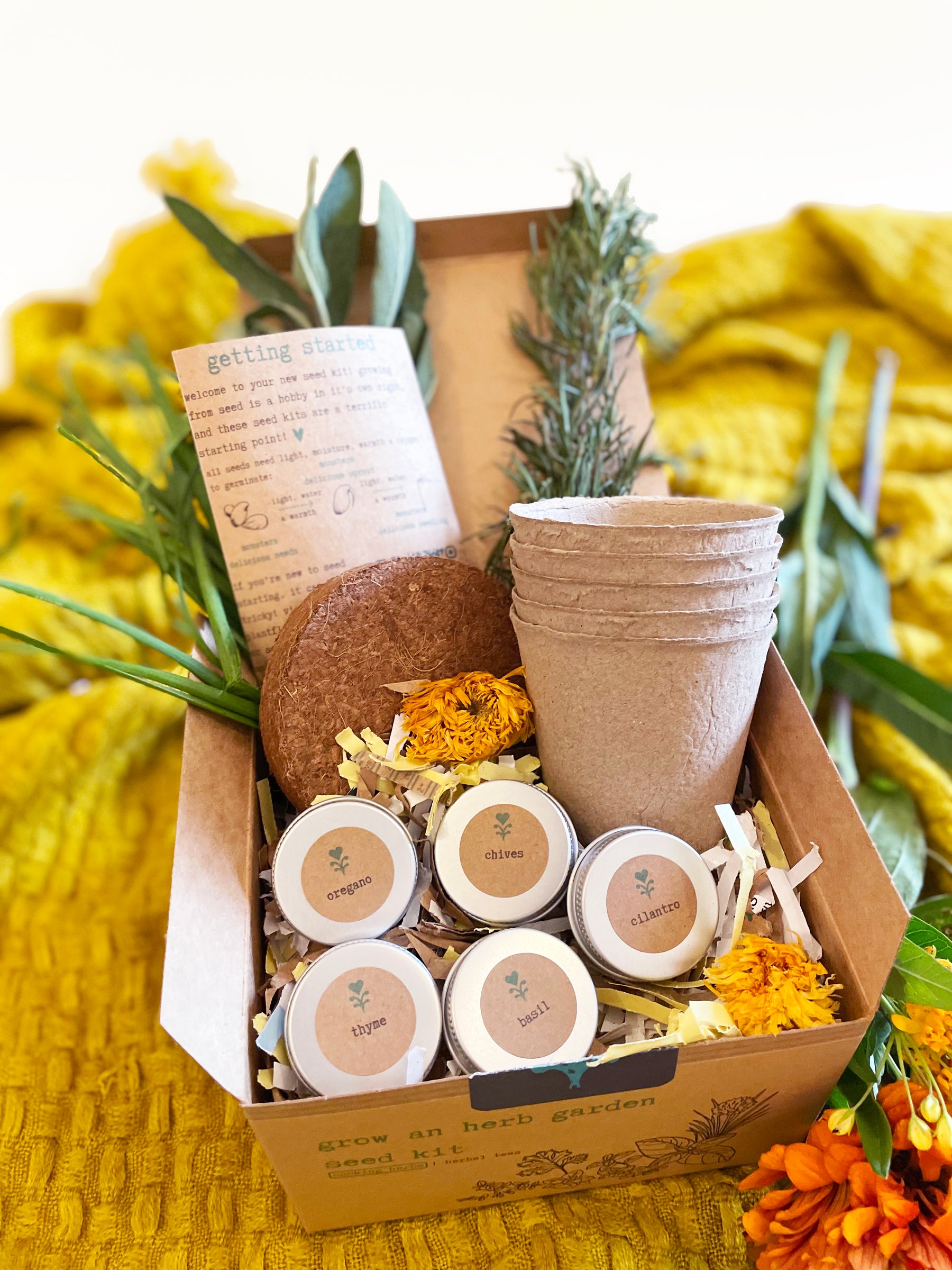 Cooking Herbs Growing Kit w. Planters, Soil Pod & Organic NonGMO, US