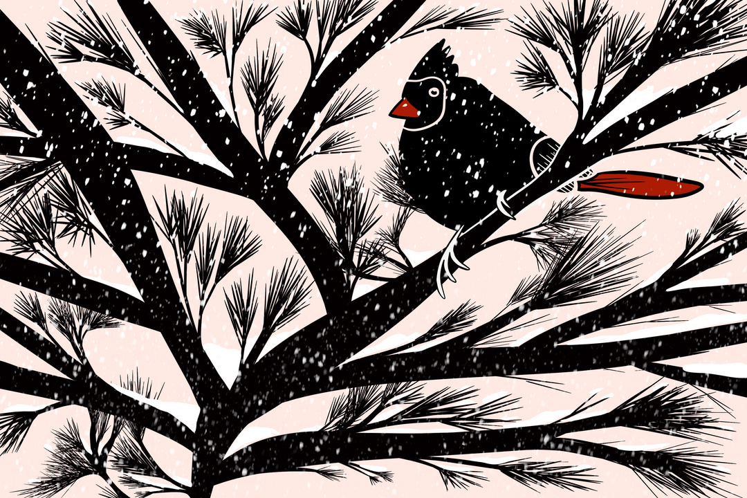 Holiday Cardinal in Snowy Fir Tree Greeting Card + Matching Envelope, Blank Inside (Winter Wishes)