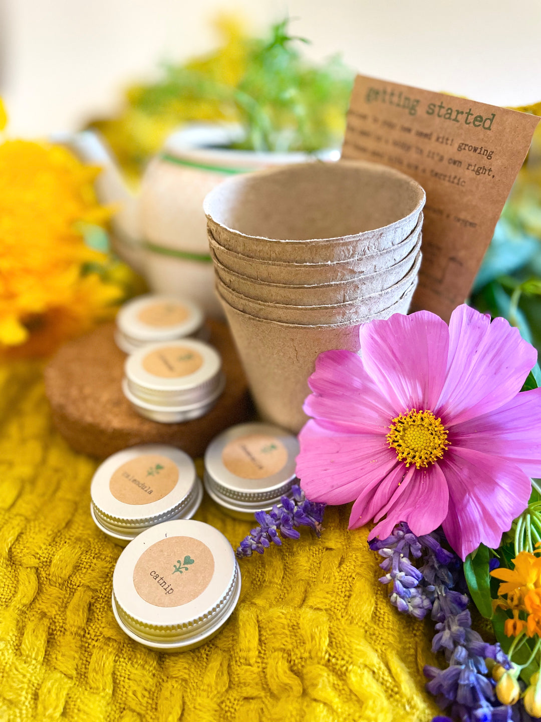 Tea Uprooting Herbal Tea Garden Growing Kit (Get Growing) β UpRoot Design Studio