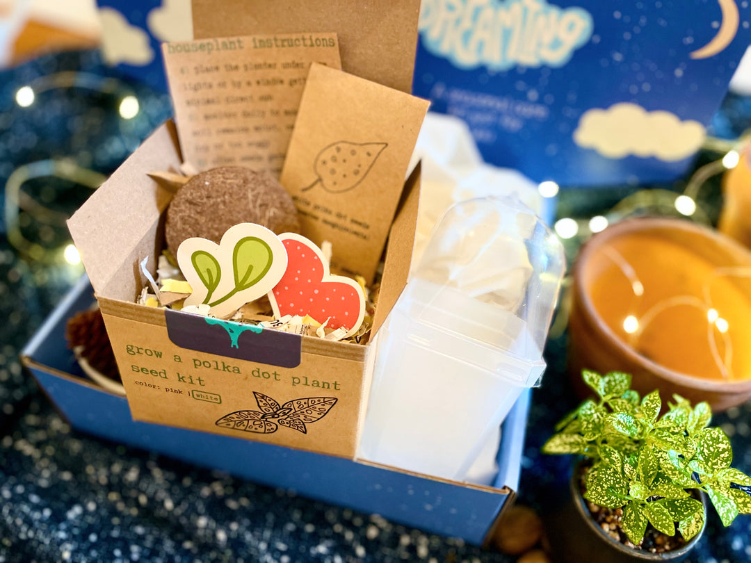 house plant growing kit White Polka-Dot Plant Growing Kit (Get Growing) – UpRoot Design Studio