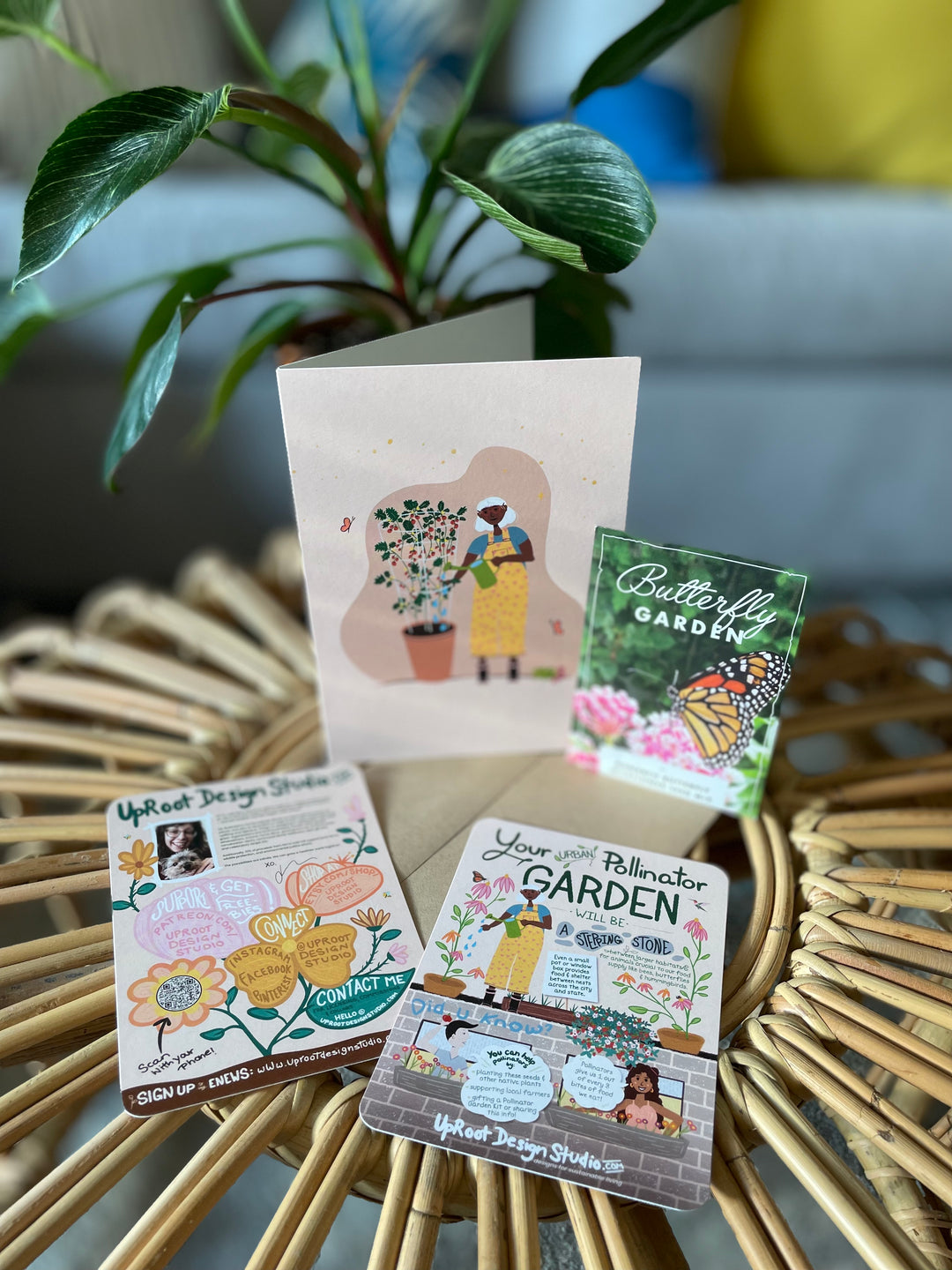 butterfly garden seed kit Butterfly Garden Pollinator Greetings Kit w. Non-GMO Butterfly Seed Pa – UpRoot Design Studio