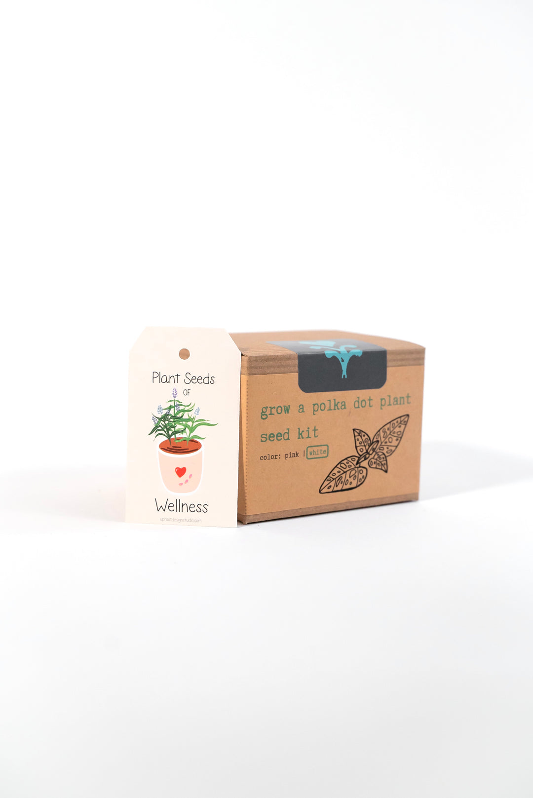 "Growing Joy" Trio Gift Set: Polka-Dot Plant Kit, Mindfulness Journal, "Jasmine Green" Tea, Honey, Greeting Card (Grow & Bloom)