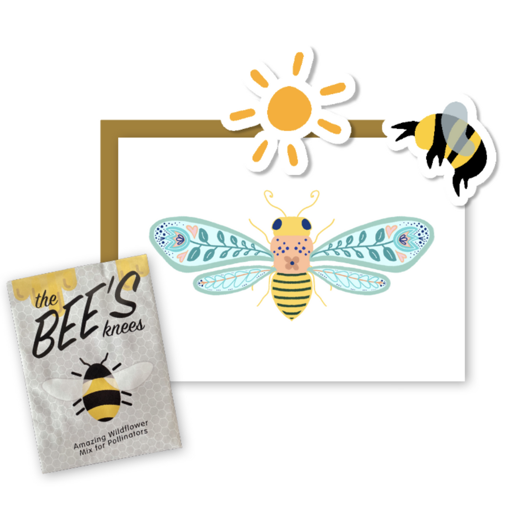 Wildflower Bee Garden Greetings Kit w. Non-GMO Seeds, Infosheets + Folk Art Greeting Card with Hand-drawn Bee Art (Celebrate Pollinators)