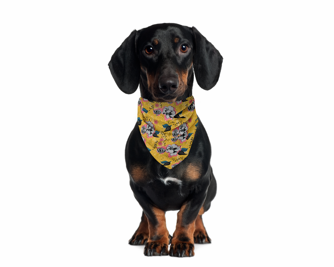 100% Organic Cotton Hand-Sewn Pet Bandana with Adorable Hand-drawn Pattern (Assorted)