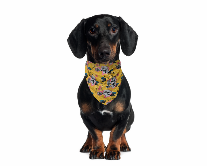 Organic Cotton Hand-Sewn Pet Bandana with Adorable "Vintage Roses" Hand-drawn Pattern (Green Paws)