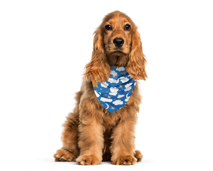 100% Organic Cotton Hand-Sewn Pet Bandanas with Adorable "Pouf Birds" Pattern - Assorted Colors (Green Paws)