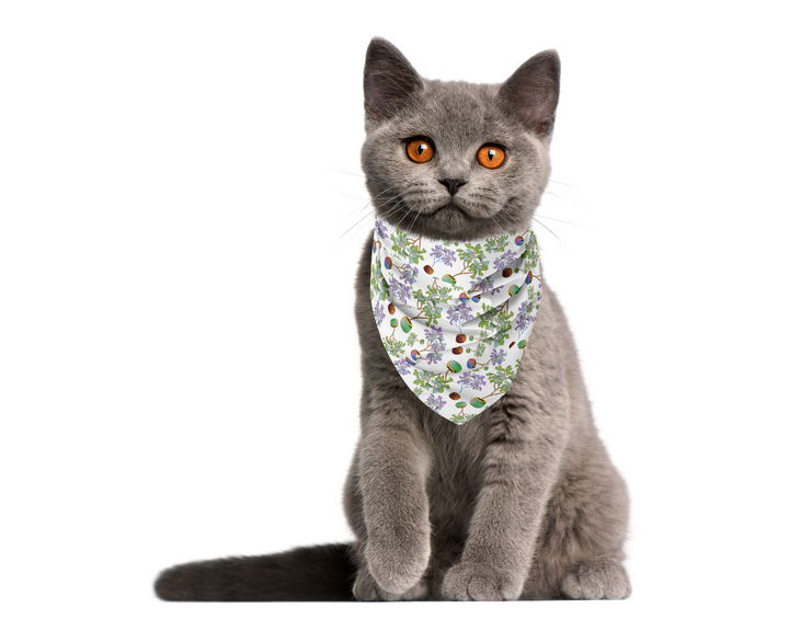 100% Organic Cotton Hand-Sewn Pet Bandana with Adorable Hand-drawn Pattern (Assorted)