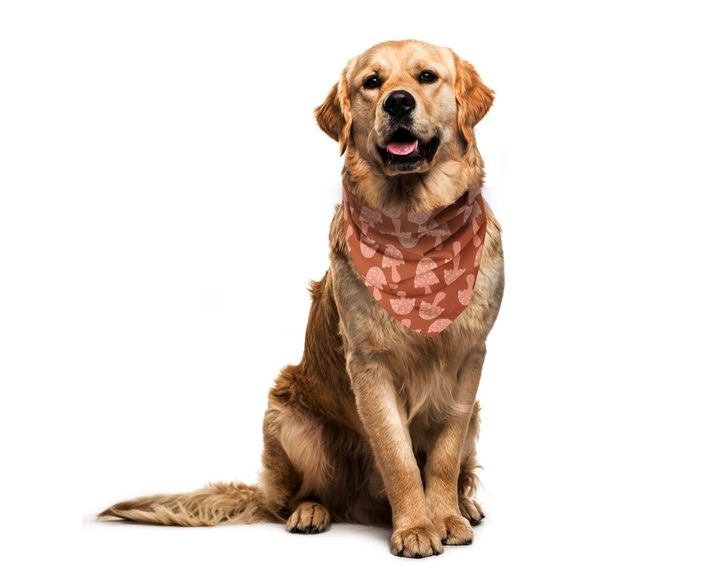 100% Organic Cotton Hand-Sewn Pet Bandana with Adorable Hand-drawn Pattern (Assorted)