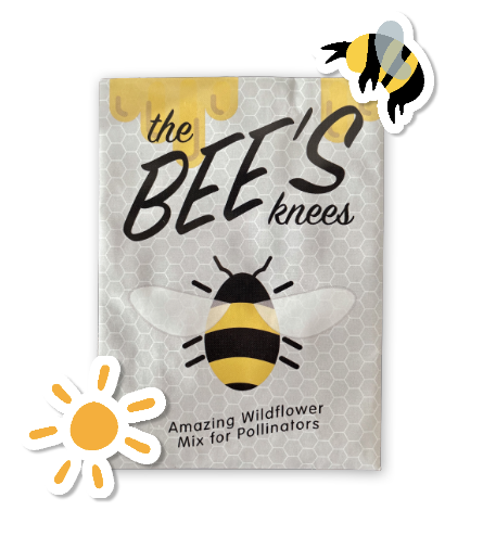 Wildflower Bee Garden Greetings Kit w. Non-GMO Seeds, Infosheets + Folk Art Greeting Card with Hand-drawn Bee Art (Celebrate Pollinators)