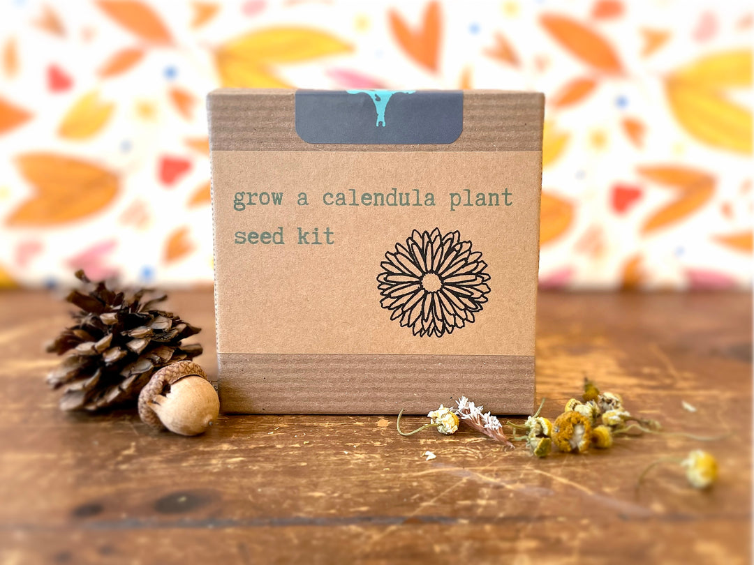 "Get Growing" Plant Kit (Your Choice - Winter Dreaming)