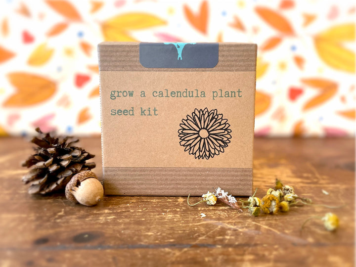 Calendula Tea Growing Kit (Get Growing)